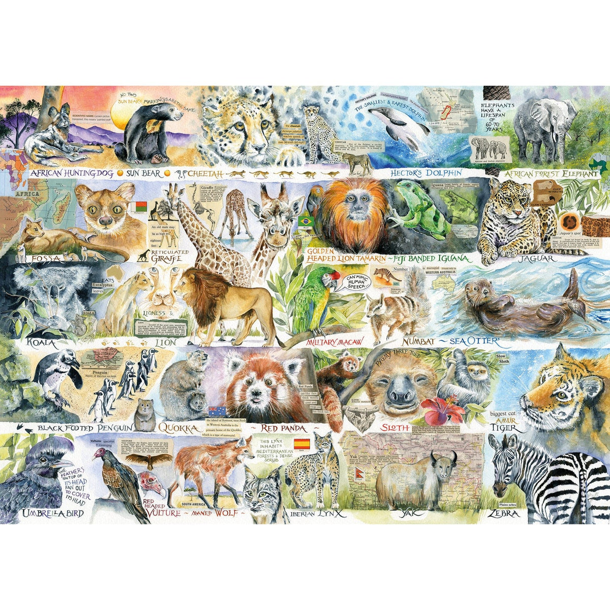 Gibsons - Sun Bears & Sloths - Jigsaw Puzzle 1000 Pieces