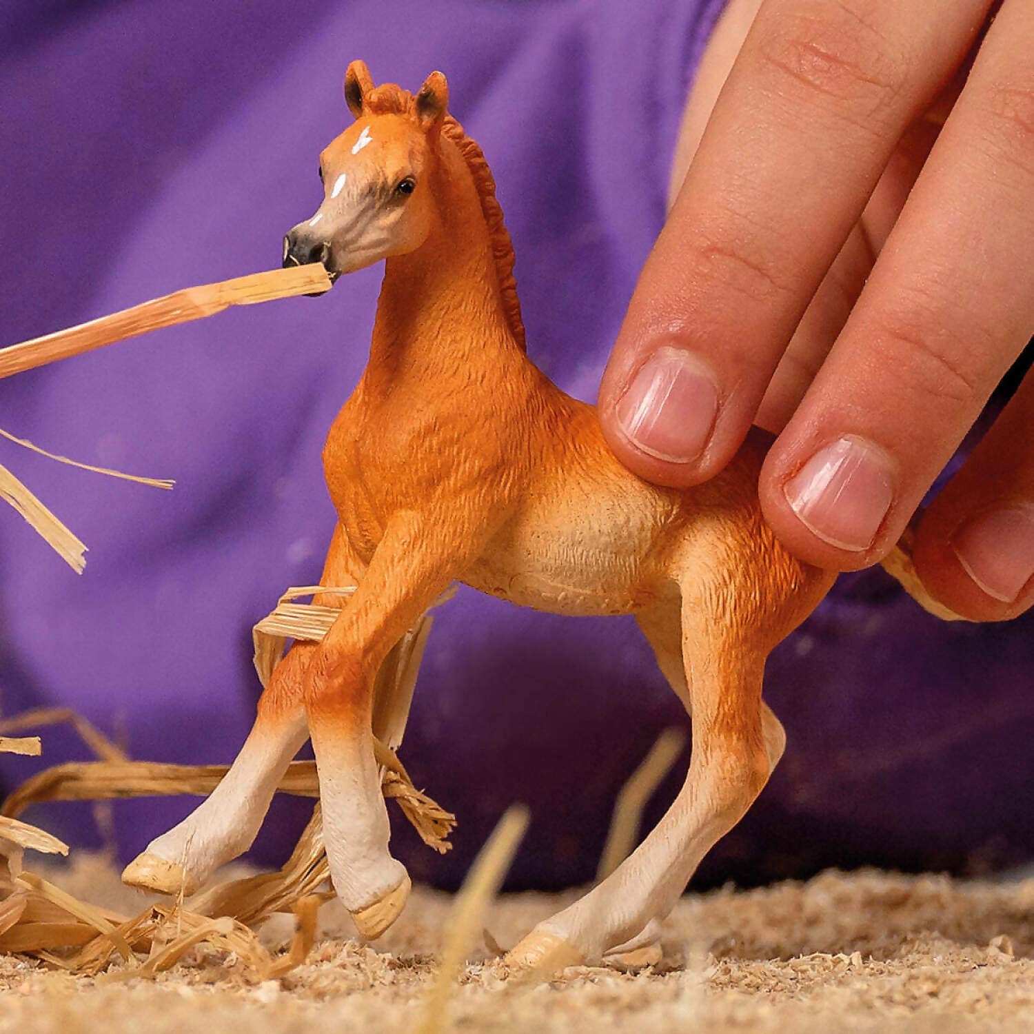 Schleich - Arabian Foal Horse Club Animal Figurine