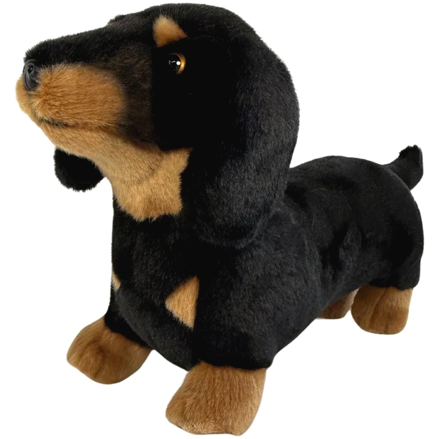 Bocchetta - Buddy Black and Tan Dachshund Standing Soft Plush 36cm