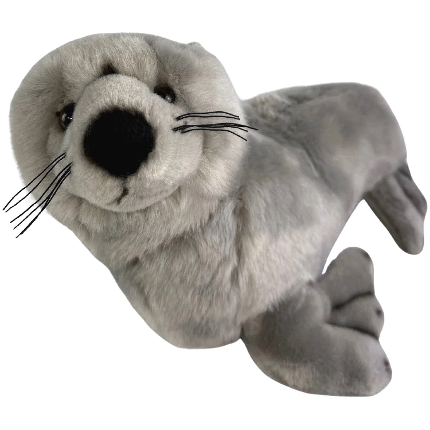 Bocchetta - Mawson Australian Sea Lion Soft Plush 25cm