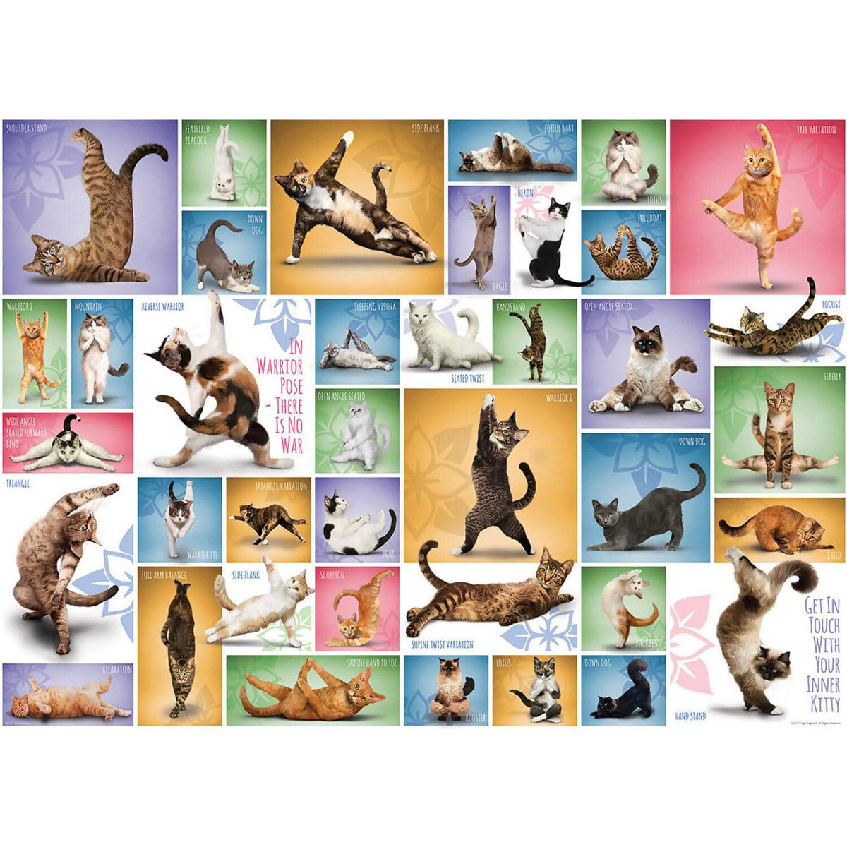 EuroGraphics - Yoga Cats - Jigsaw Puzzle 1000 Pieces