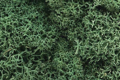 WOODLAND SCENICS - L162 LICHEN LIGHT GREEN