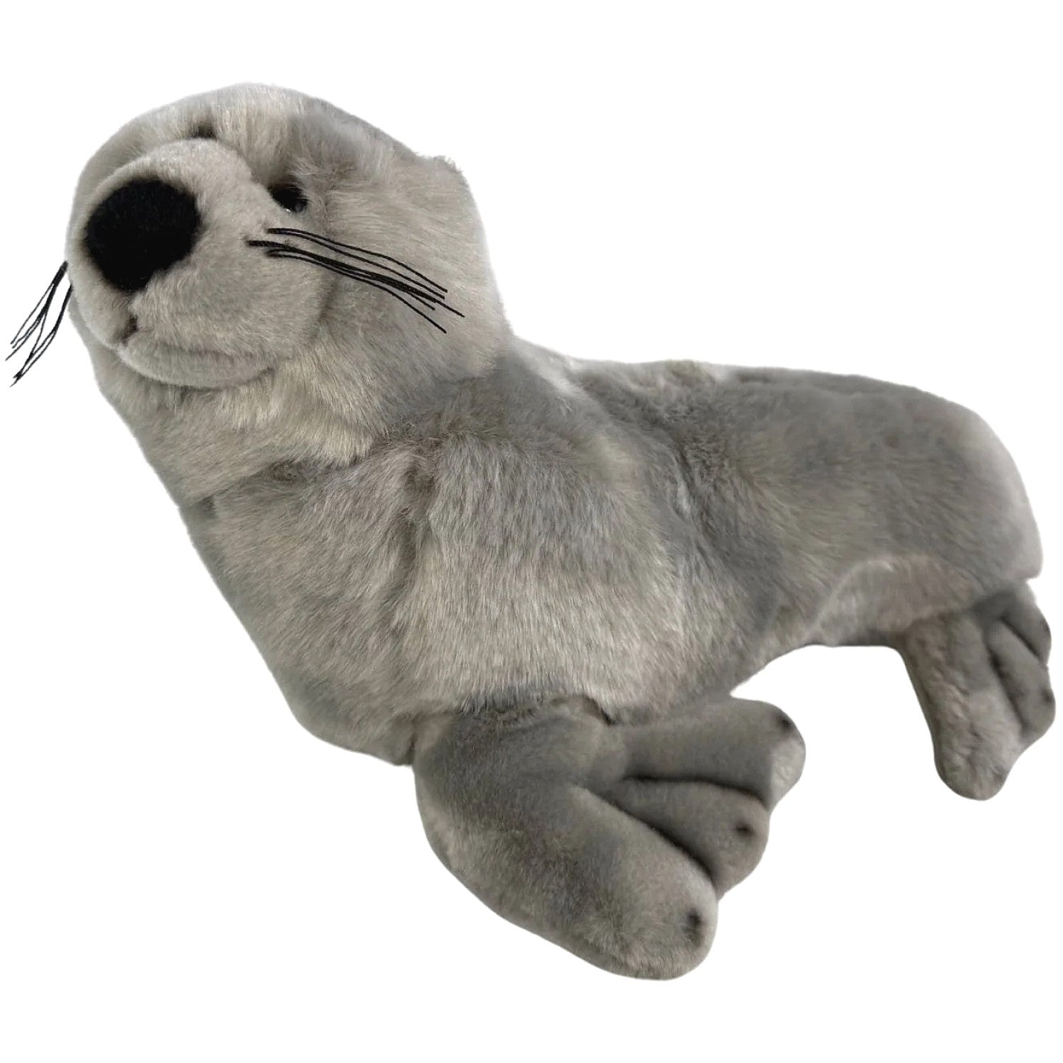 Bocchetta - Mawson Australian Sea Lion Soft Plush 25cm