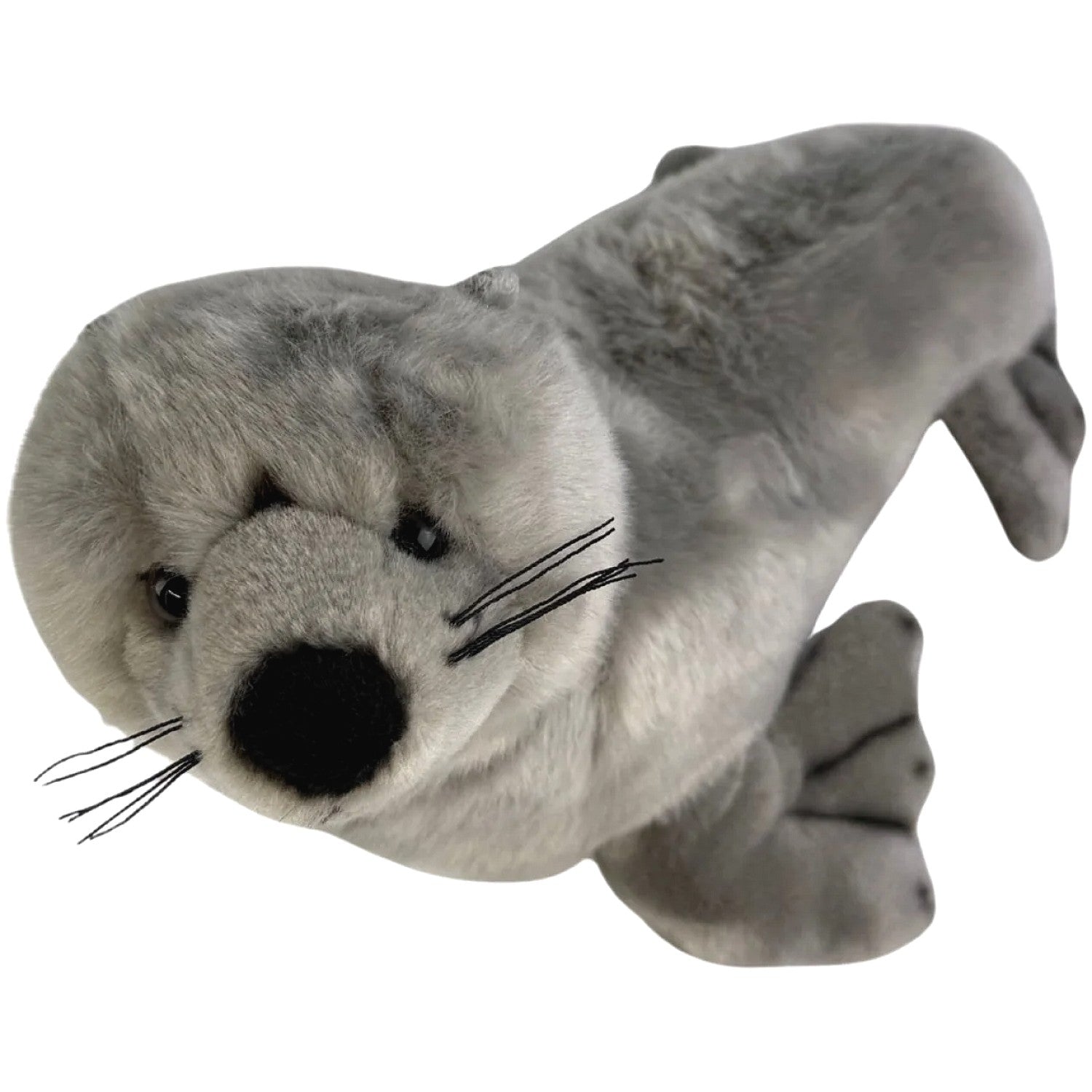 Bocchetta - Mawson Australian Sea Lion Soft Plush 25cm