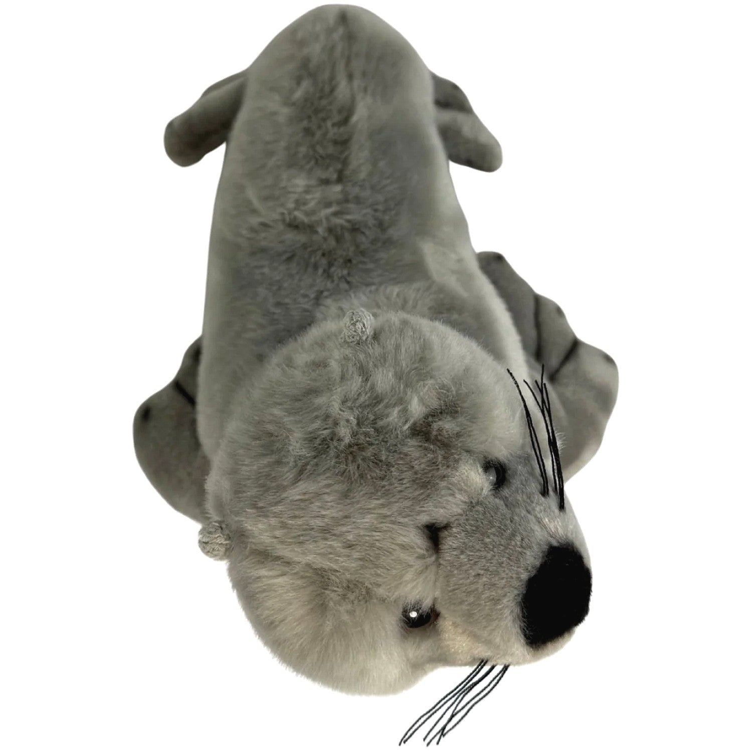 Bocchetta - Mawson Australian Sea Lion Soft Plush 25cm