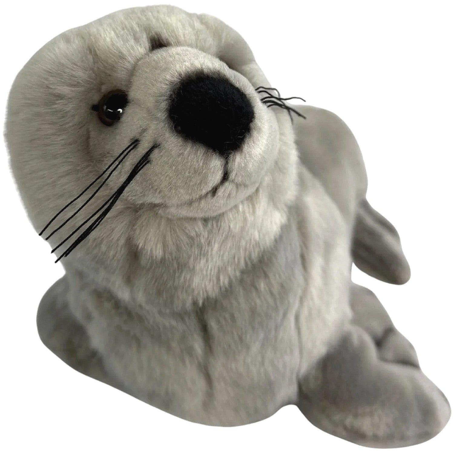 Bocchetta - Mawson Australian Sea Lion Soft Plush 25cm